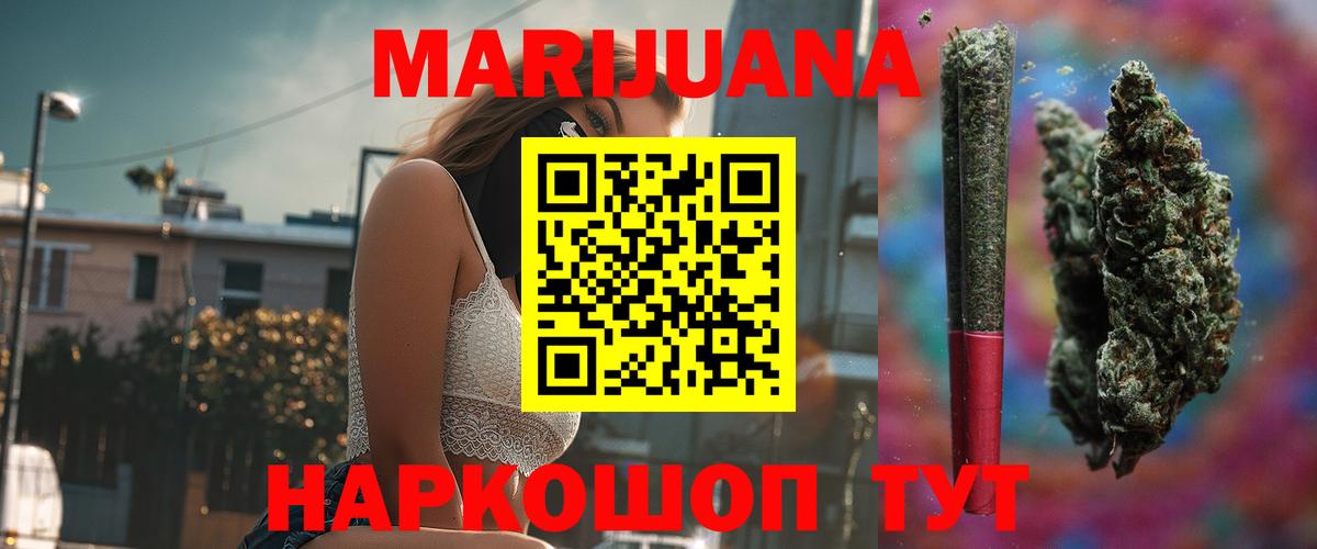 Конопля сатива Гуково